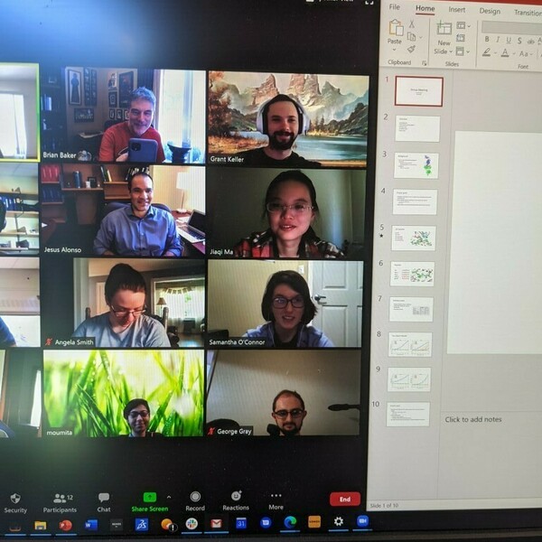 Photo of a virtual lab meeting, spring 2020