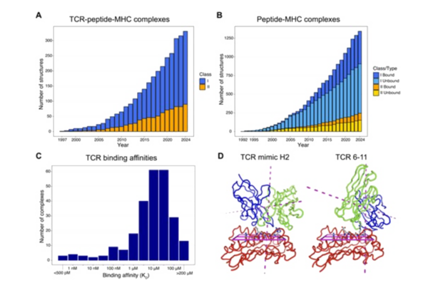 Image from an article published in Nucleic Acids Review in 2024