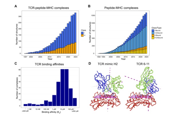 Image from an article published in Nucleic Acids Review in 2024